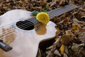 akoestische band op je bruiloft